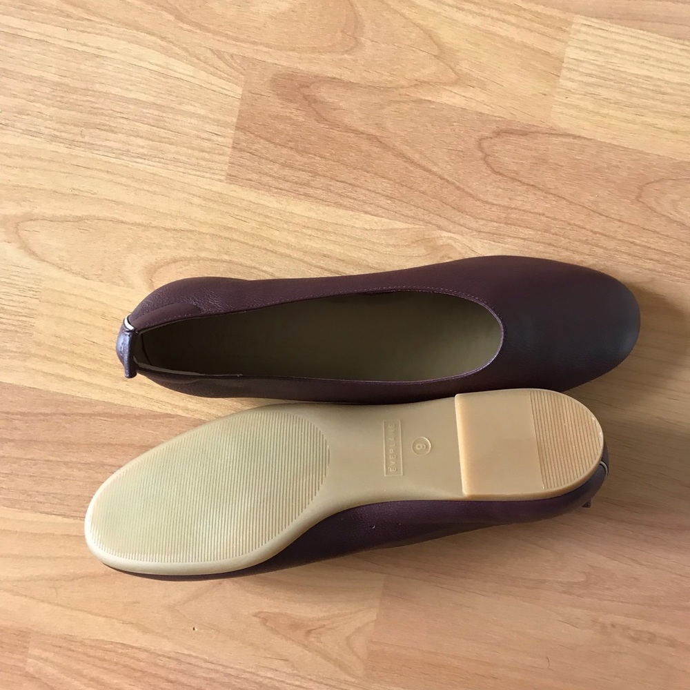 Everlane day glove in Burgundy